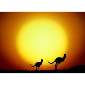 Australia Heat