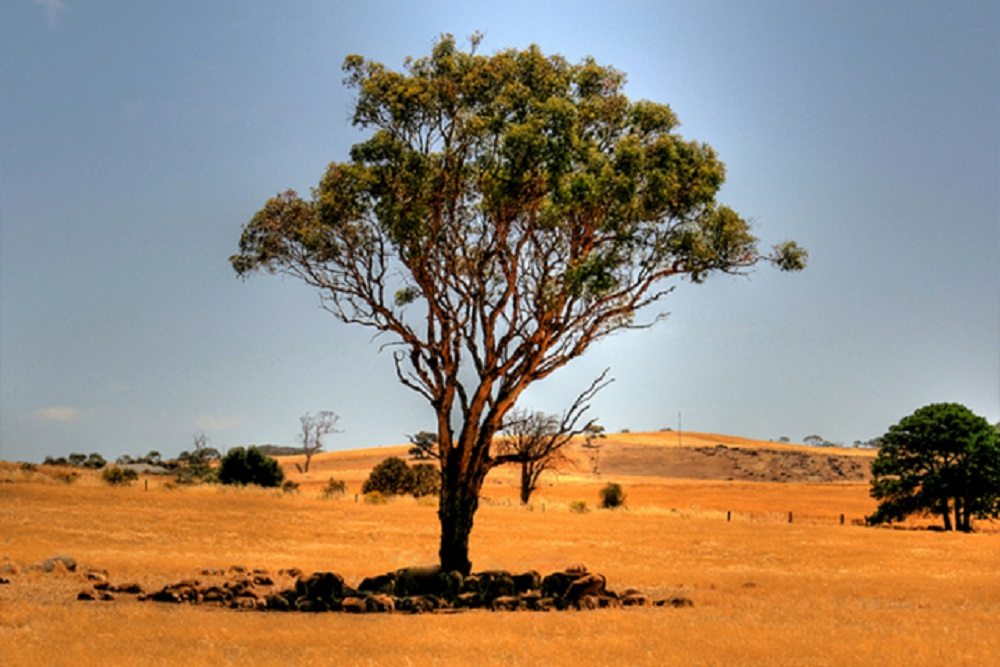 inland-victoria-rainfall-blog - Copy