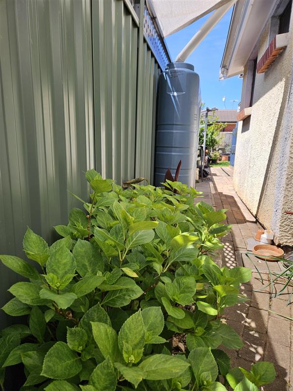 1,000 Litre Slimline Rainwater Tank – SA & VIC Only
