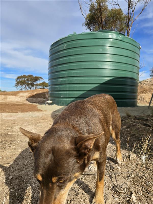 22,500L (5000 Gal) OzPoly Domed Pole-Less – TXD5000